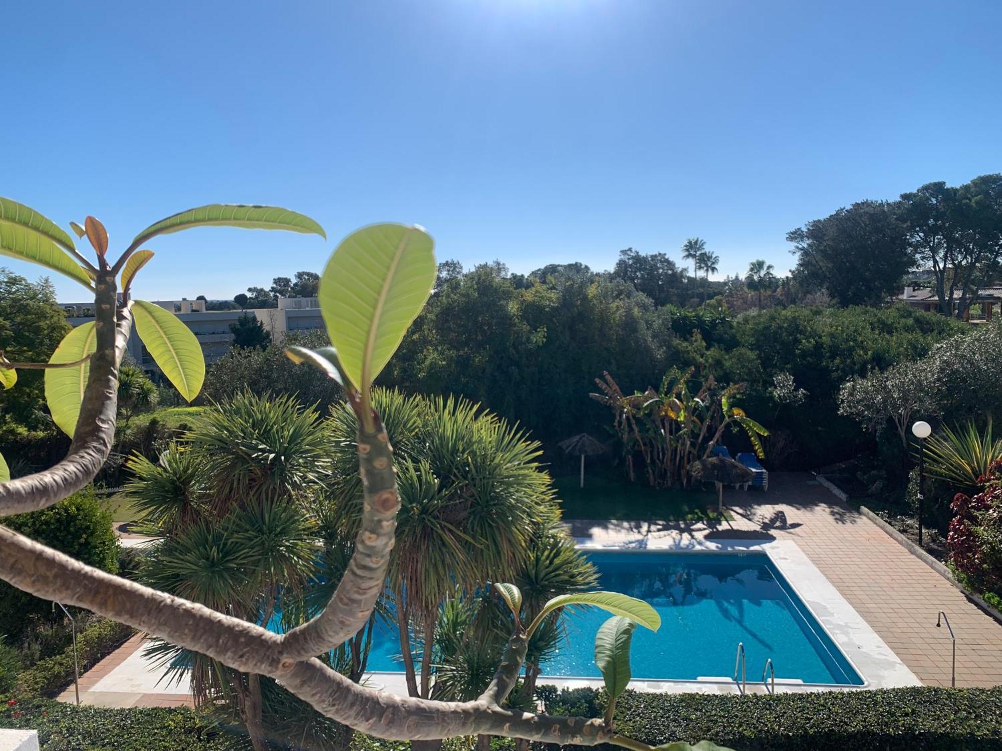 Sotogrande Duplex Near Polo, Best Pool View, 2 Pools, Full South, 7 Drive To Beaches And Port Extérieur photo